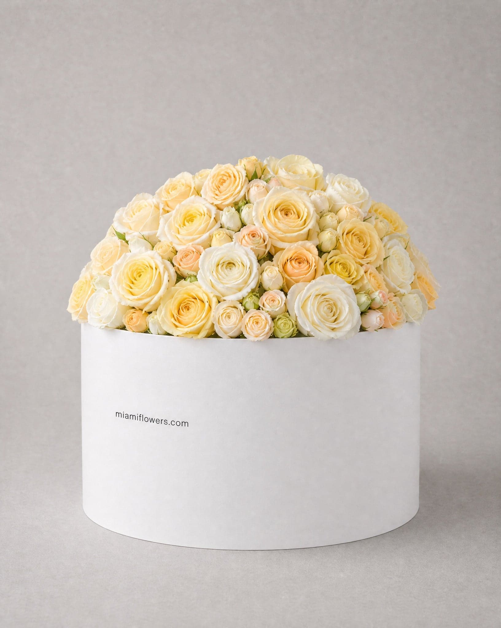 Roses in an oval box printed with miamiflowers.com