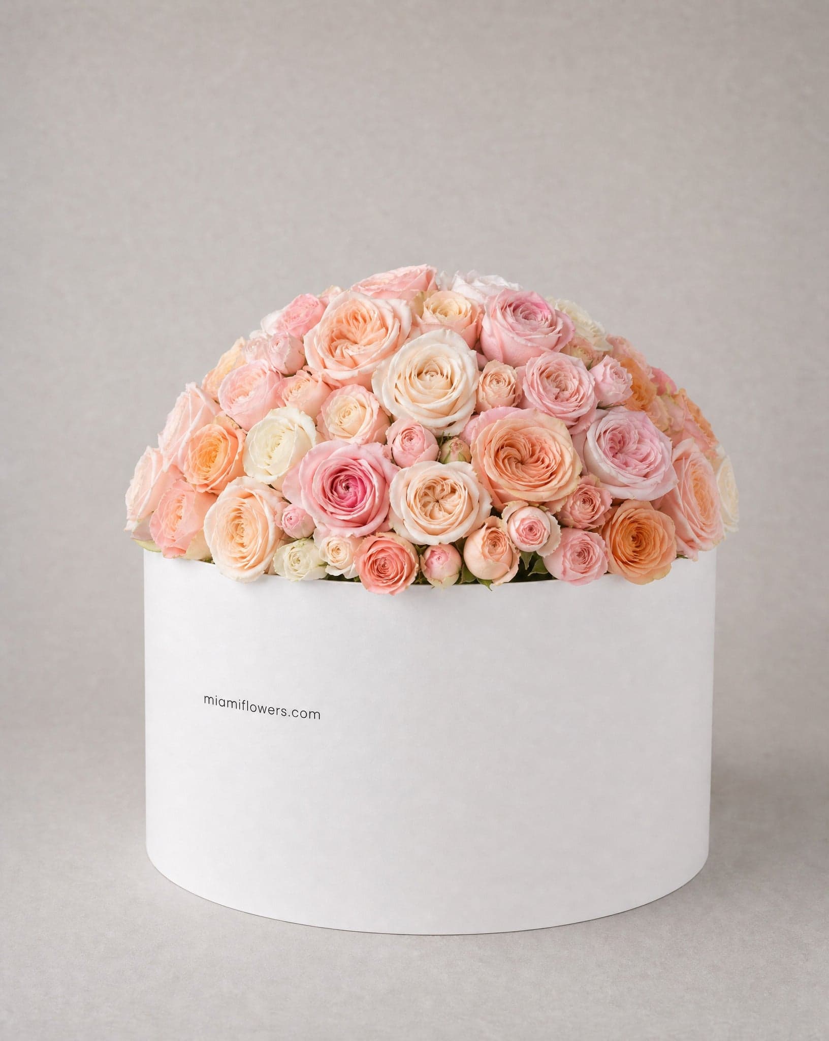 Blush, peach and cream roses in a tall matte white oval box printed with miamiflowers.com