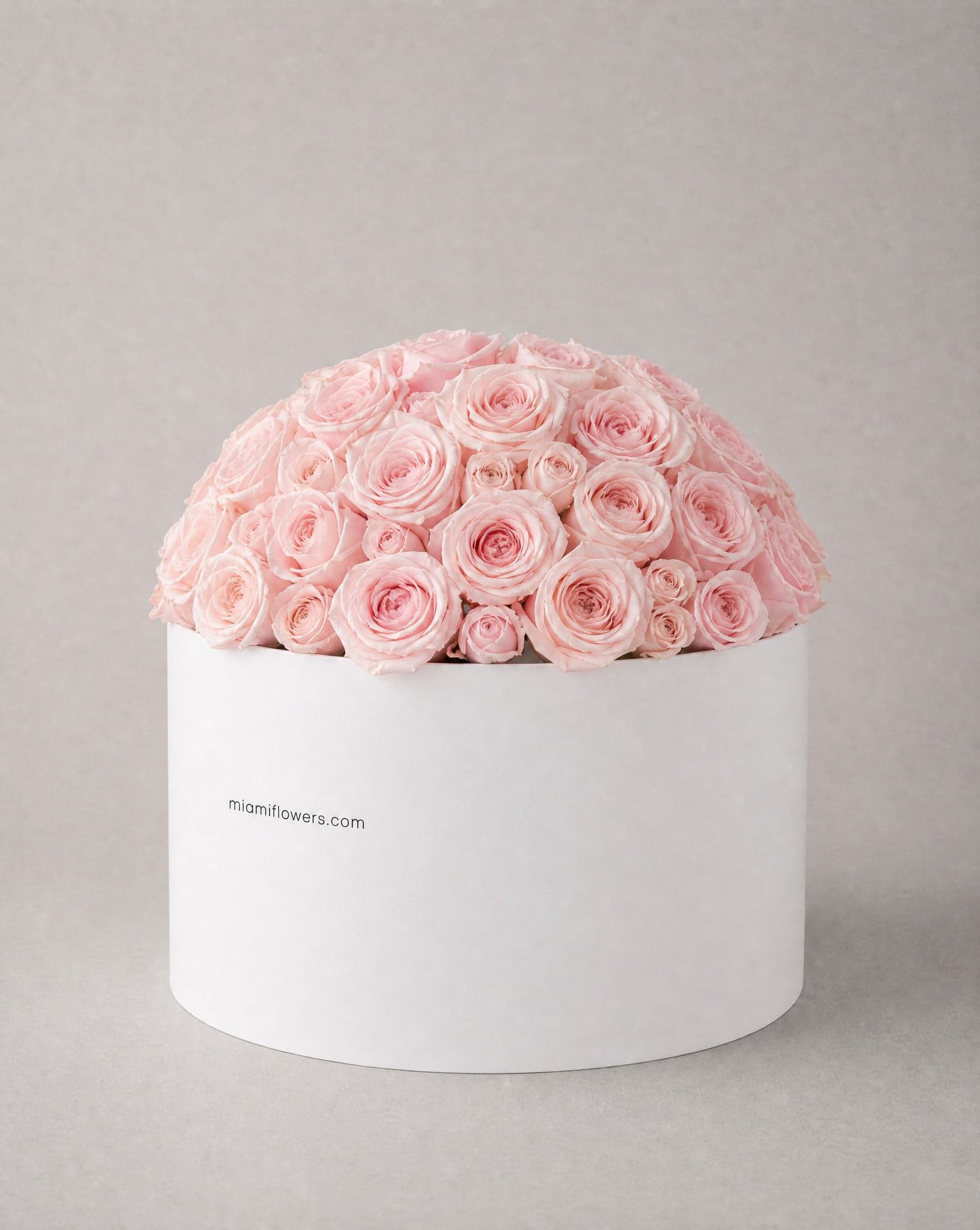 Blush pink roses in a tall matte white oval box printed with miamiflowers.com