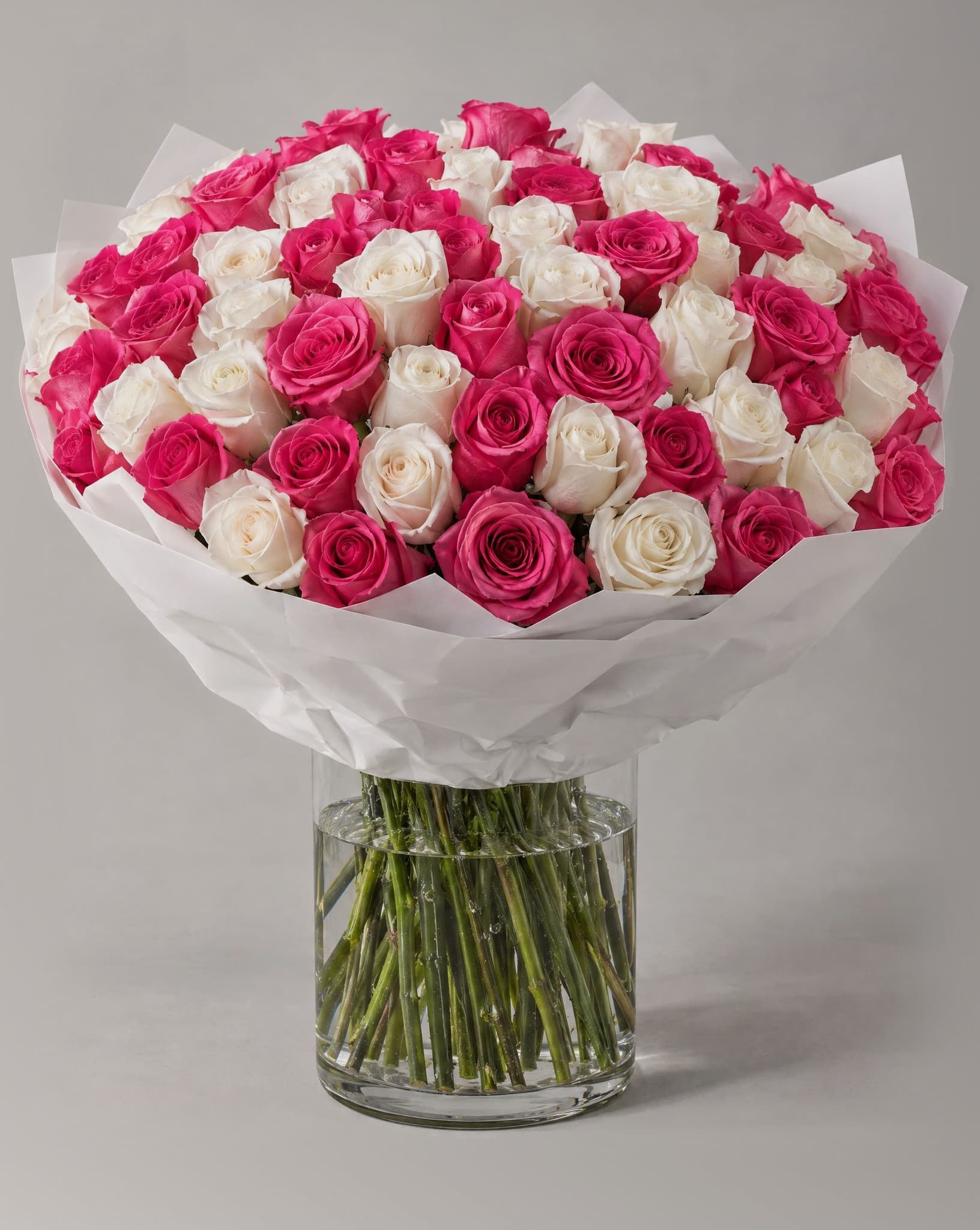 One hundred hot pink and white roses wrapped in white paper in a clear glass vase
